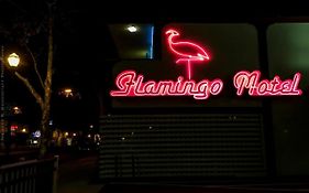 The Flamingo Motel San Jose